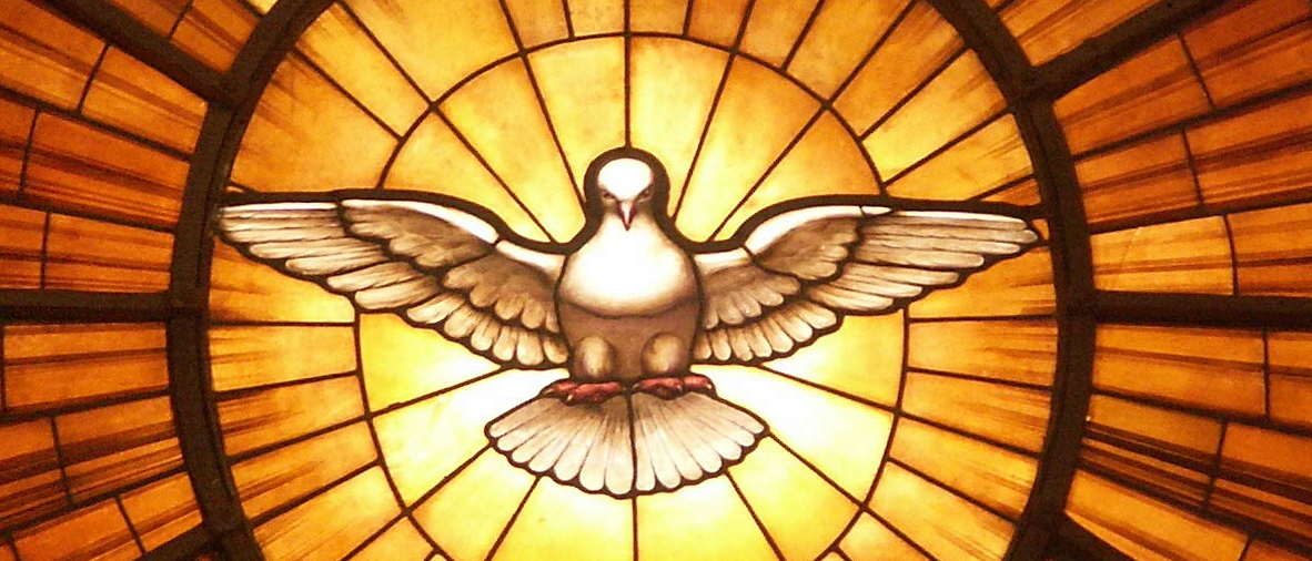 A stained glass image of a dove.
